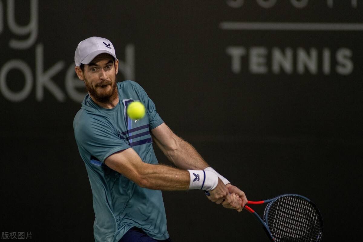 法国网球队完胜日本网球队，穆雷关键制胜的简单介绍