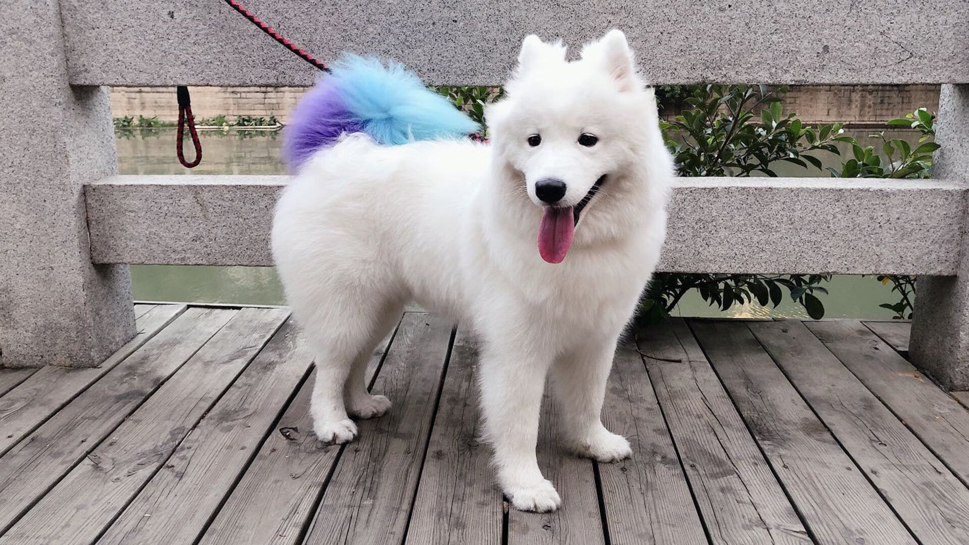 冰火淬炼，王者基因，辛纳澳网史诗翻盘的战术涅槃与团队胜利