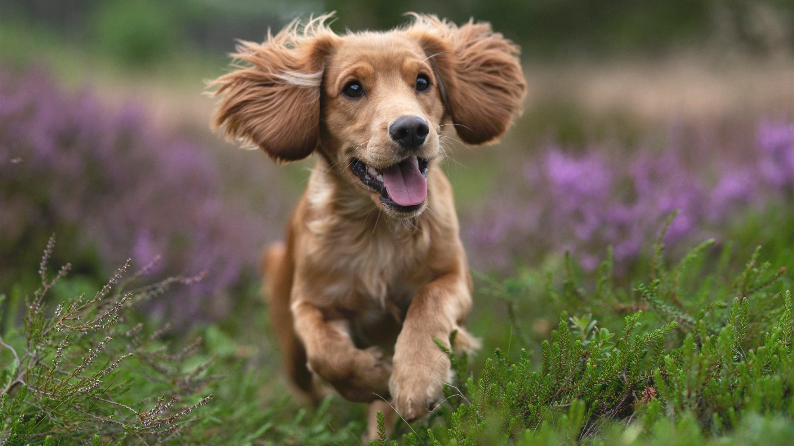 开云体育中国-逆转狂澜，重铸荣光—郑思维扛起全队的唯一之战