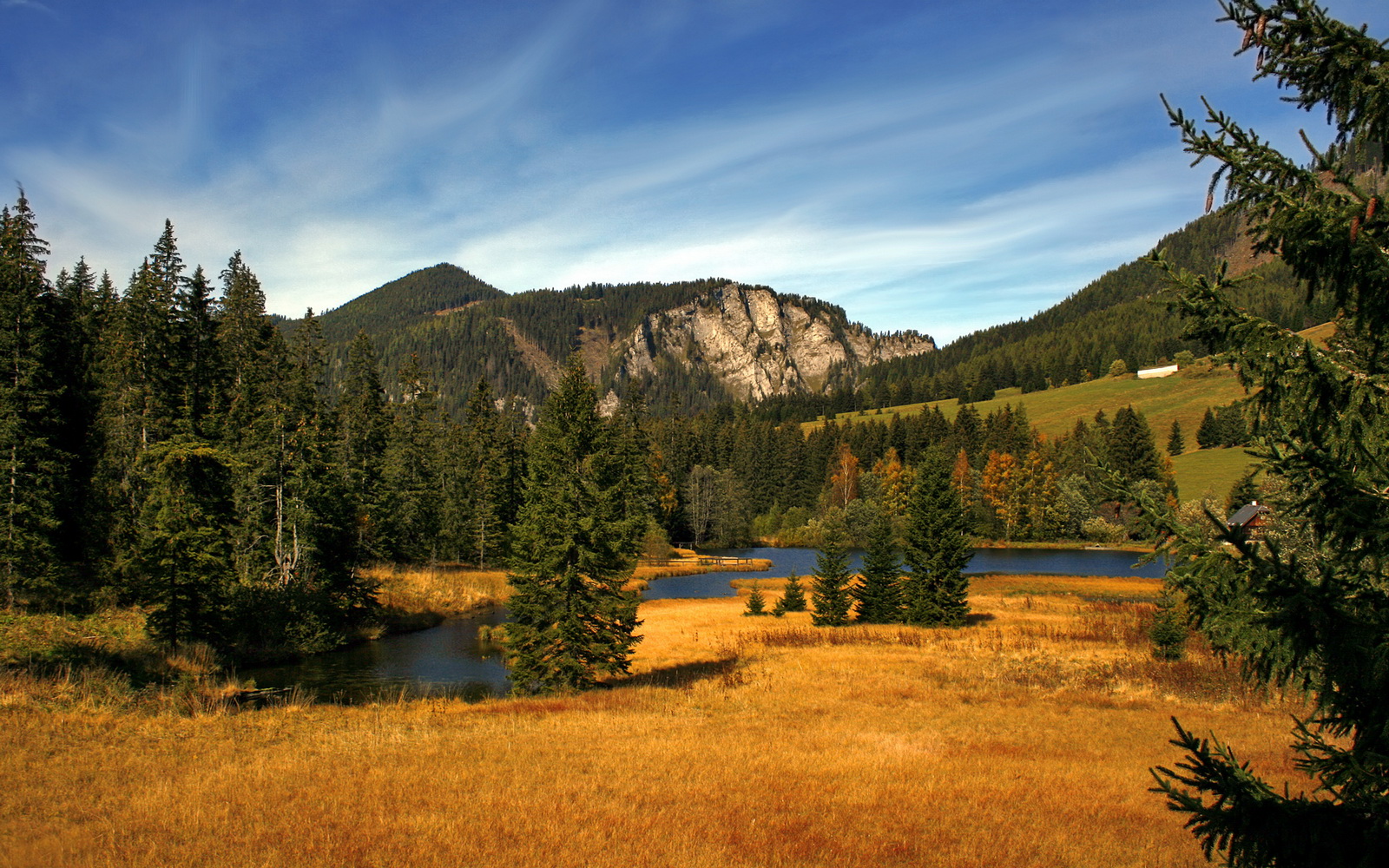 开云sport-当钢铁洪流遇上东方天网，锡安成破局胜负手，浙江队防守艺术锁死雷霆