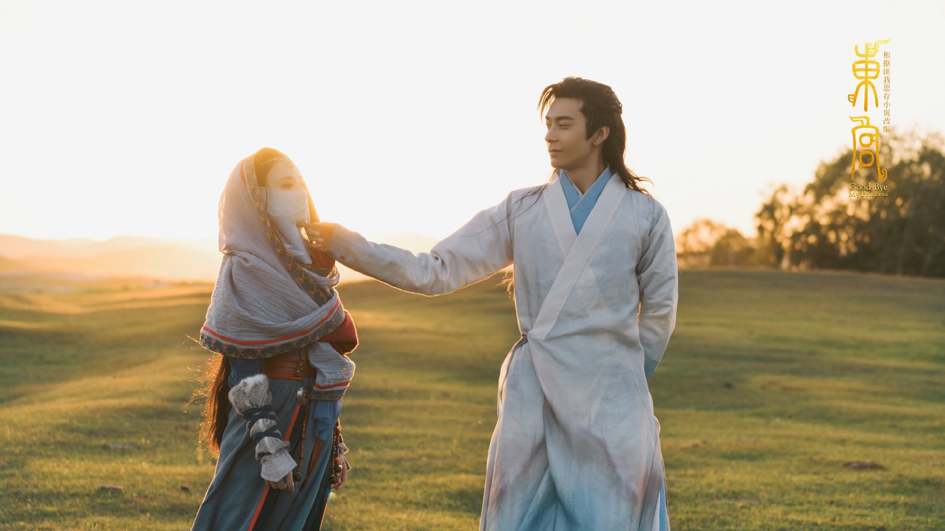 宿命的阿克,德国与爱尔兰之间的幽灵前奏