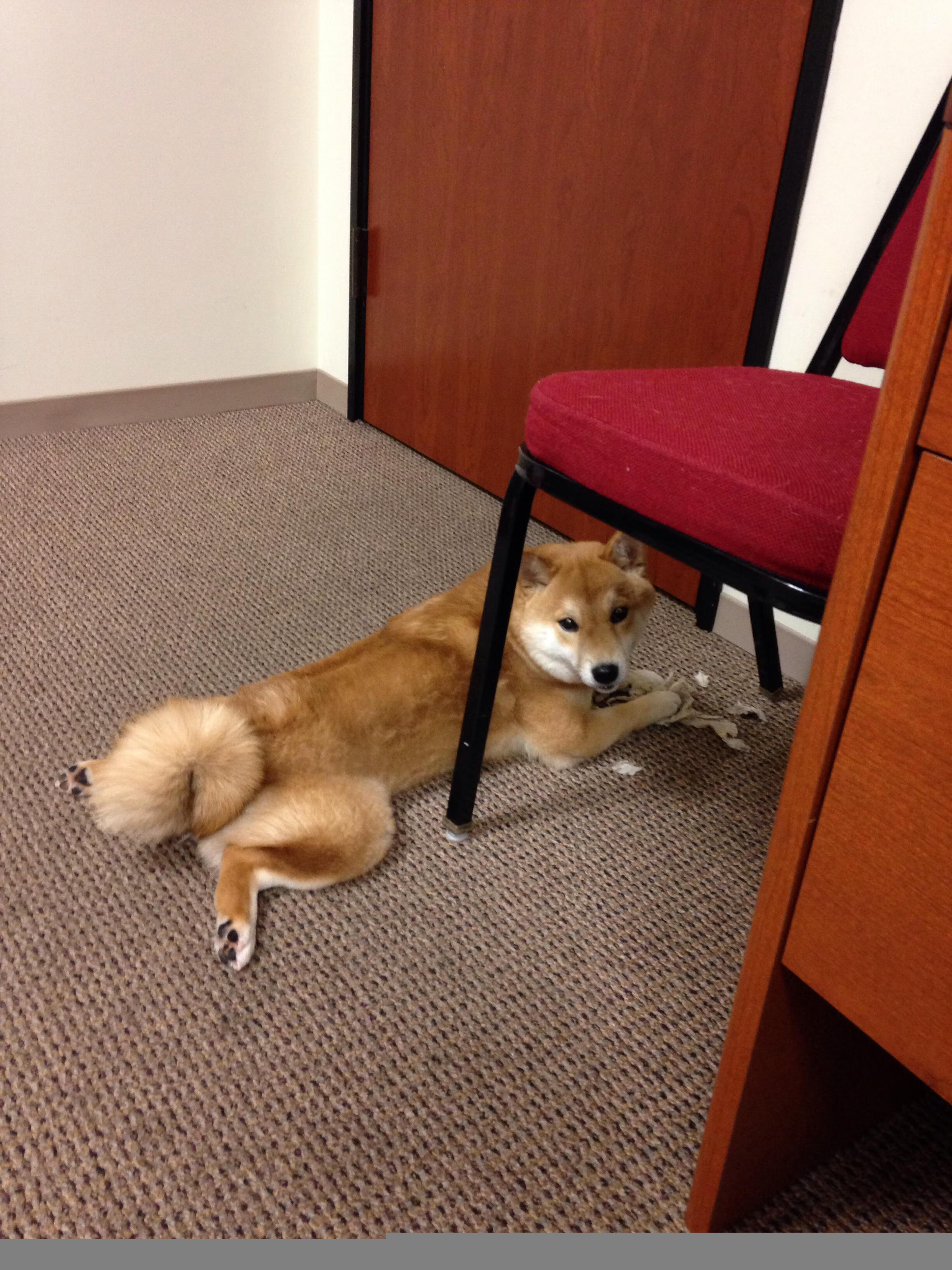 开云体育中国-湖人对阵广厦，洛杉矶的无声困局与乔治的生涯夜交响