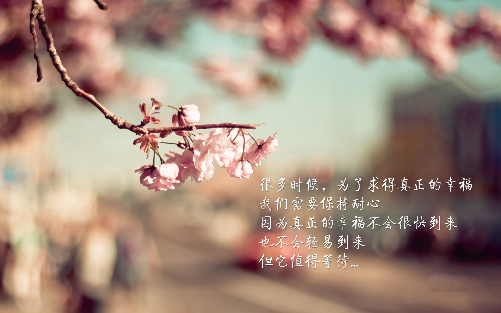 赛道神迹，保罗教科书式演出封神F1年度争冠夜