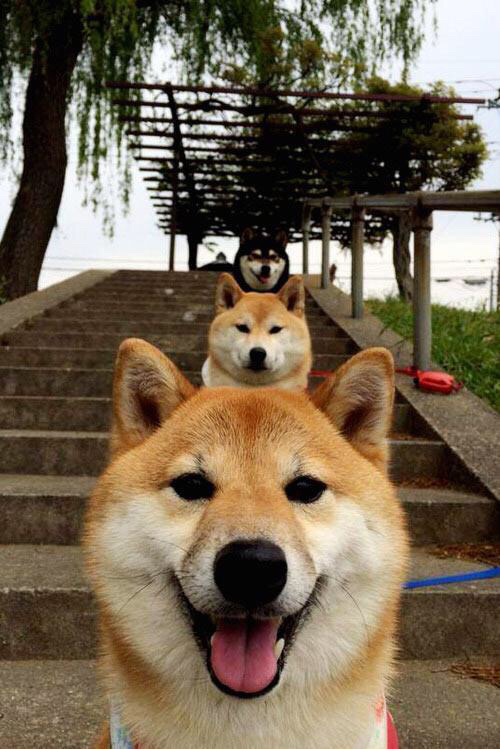 开云体育官网-夜之刀锋，切特如何在拉斯维加斯画出完美轨迹