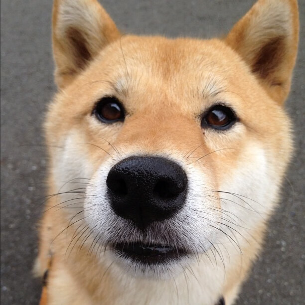 开云体育入口-绝境霓虹，当布克化身孤岛灯塔，深圳在撕裂的天穹下带走胜利