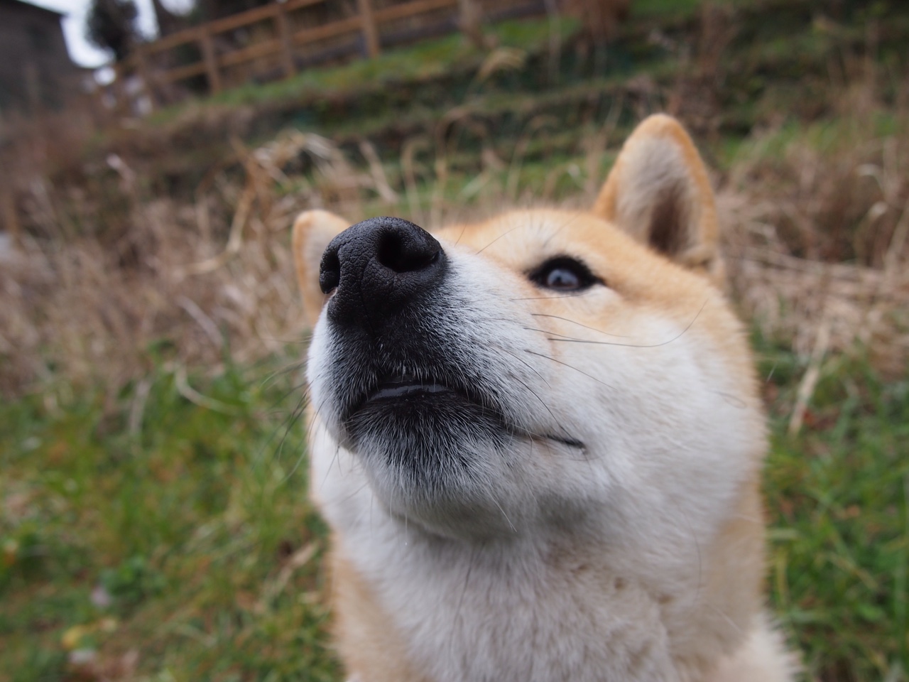 阿克完成里程碑，从后卫到后腰的战术进化，定义毕尔巴鄂新秩序