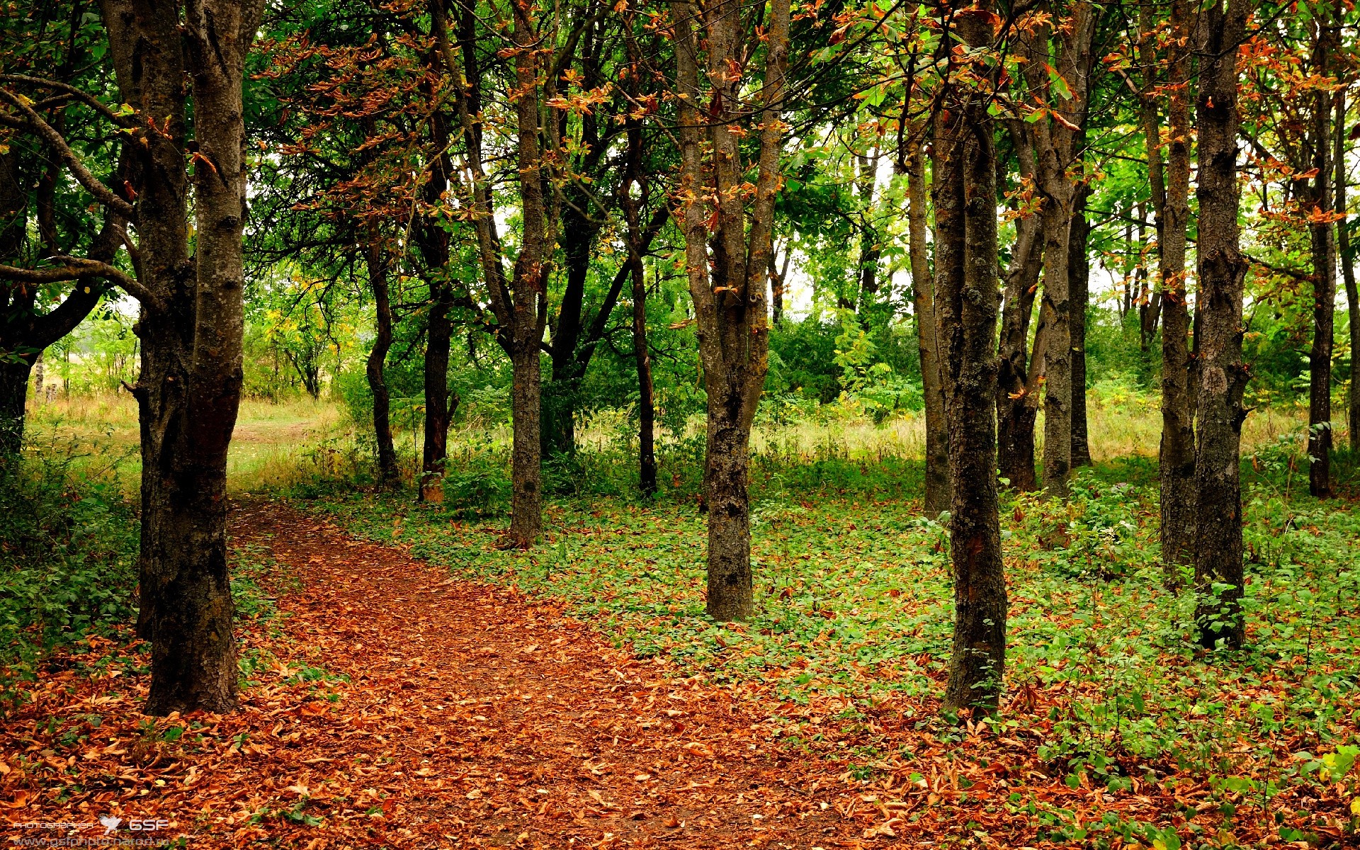比利亚雷亚尔对阵丹麦，帕尔默完成自我救赎