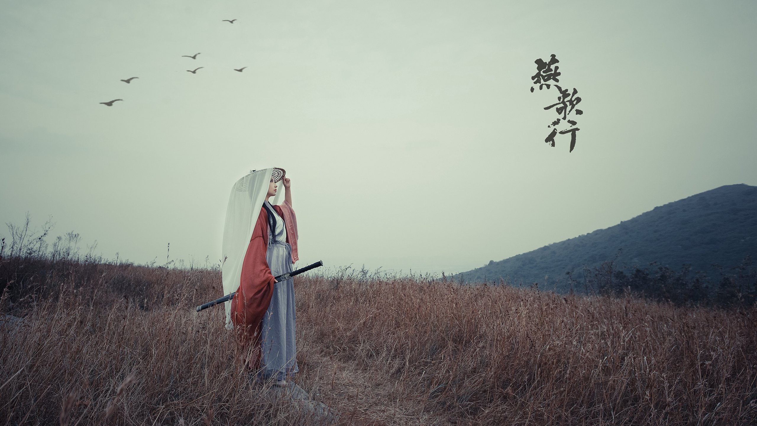 孤星闪耀，2026世界杯H组焦点战中的巴雷拉时刻，斯洛伐克以钢铁意志压制波斯铁骑