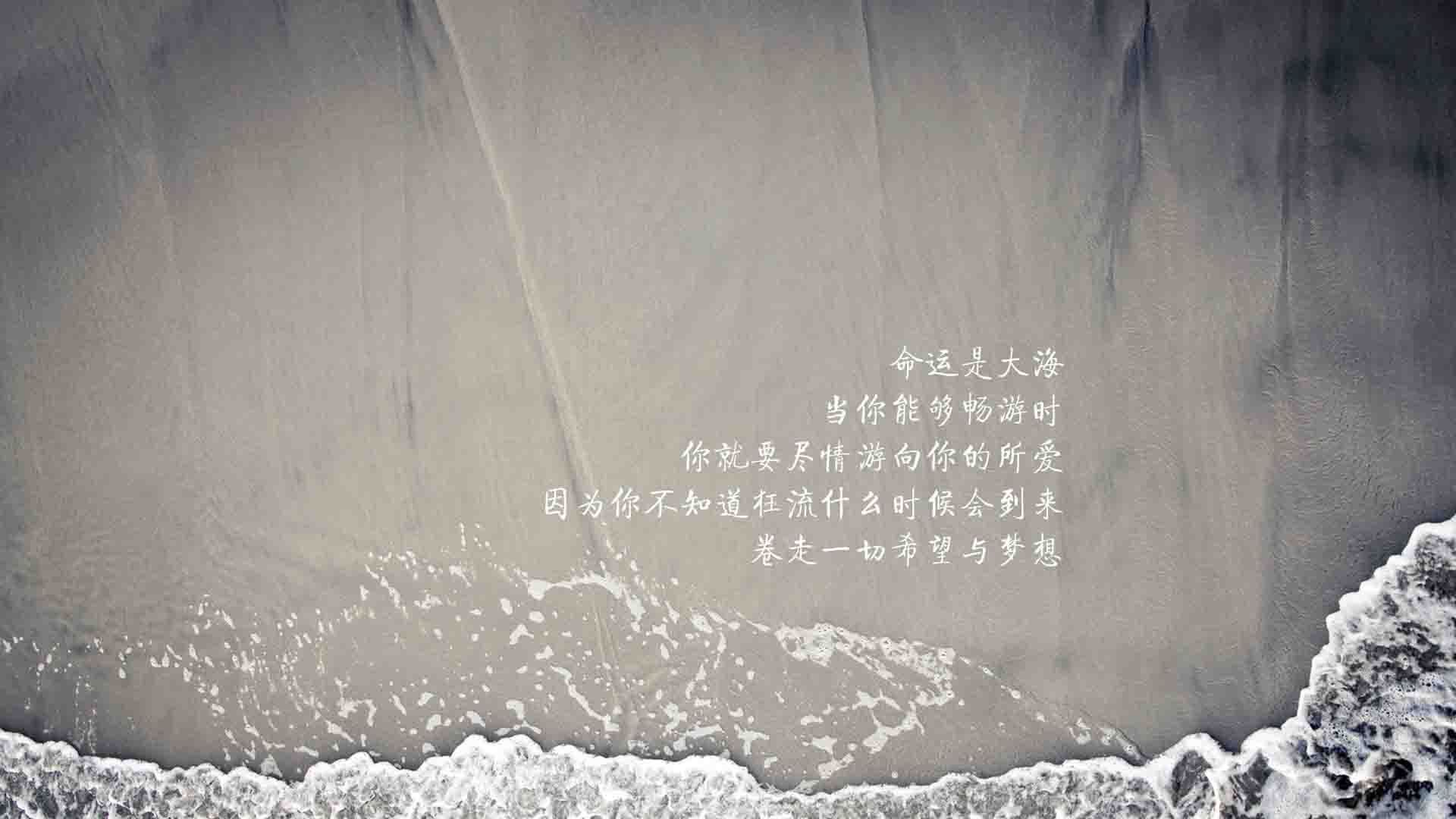 致命一击背后的控球美学，乌拉圭如何用无声霸权击溃保加利亚