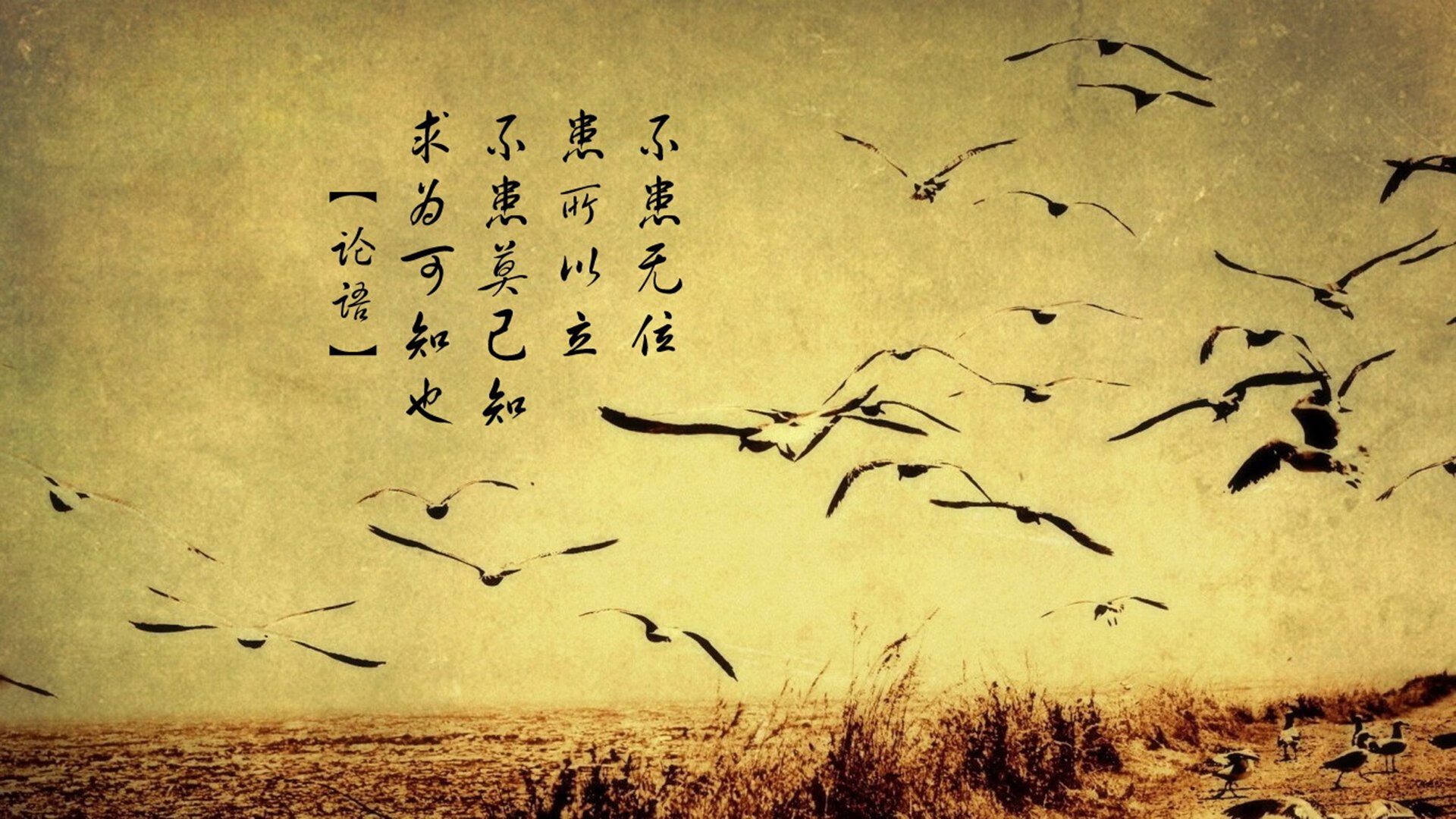 开云体育平台APP-绿茵史诗，2026世界杯黑马之战，巴西险胜乌拉圭，萨内一剑封喉点燃烽火