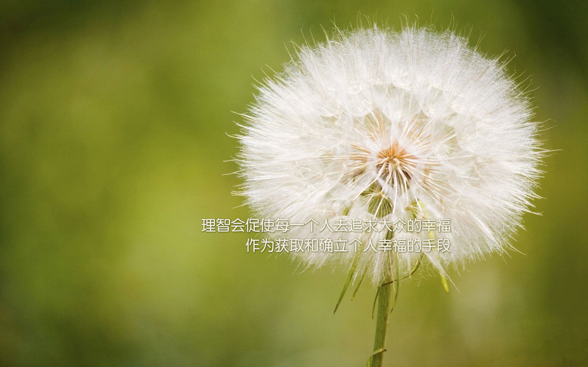 宿命的对决，唯一的胜者，2026世界杯H组关键战，巴西完胜美国，吉鲁带队谱写逆袭传奇