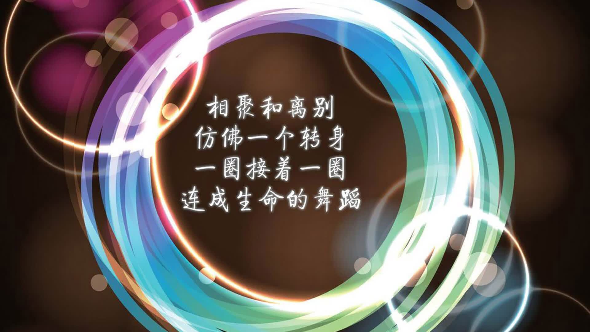 独步天下,美加墨世界杯焦点战,波兰力克韩国,卢卡库一己定乾坤